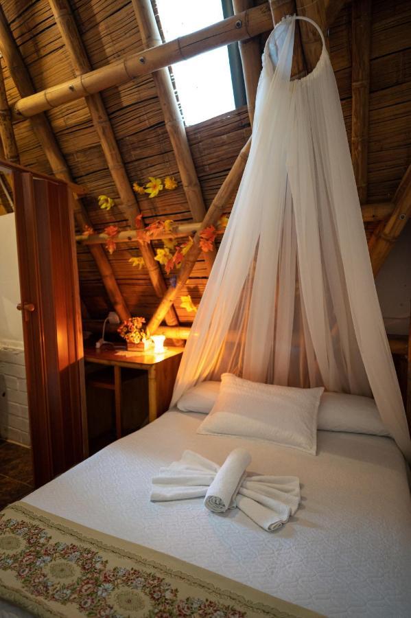 Chalet Ecoturismo La Nohelia Jericoc  Exterior foto