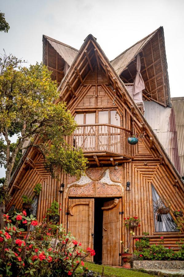 Chalet Ecoturismo La Nohelia Jericoc  Exterior foto